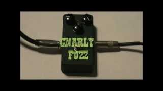 ギター Basic Audio Gnarly Fuzz mqdefault.jpg