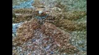 preview picture of video 'Seagull loose rock/pebble/stone sculpture created on Bexhill-On-Sea beach 2012'