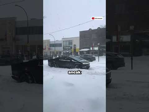 Bu Aile -21 Derecede Tesla'nın Kapı Kollarının ve Buz Çözme Özelliğini Test Etti