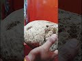 Will This Stone Sink Or Float Ram Setu Bridge Stone Experiment Science