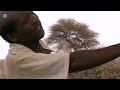 Best Of Mokorwana