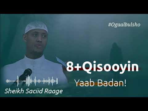 Qisooyin  Cajiib Ah || Sh Saciid Raage @OGAALBULSHO #shsaciidraage #qisooyin