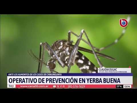 Casos de Chikungunya: operativos de prevención en Yerba Buena