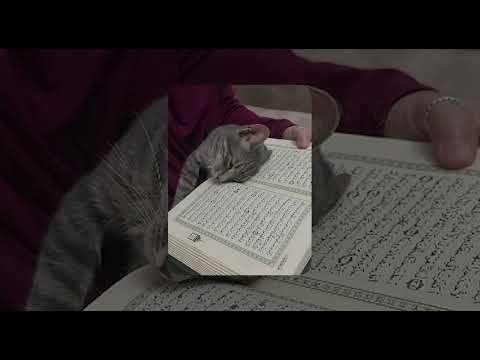 The Sins Nasheed - Muhammad Al Muqit - 1 Hour