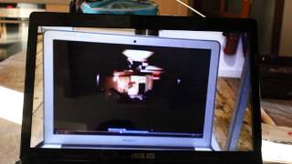 IN THE WILD: FaltyDL - Heart &amp; Soul