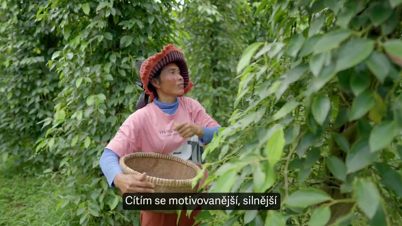 Jak vypadá farma, kde se pěstuje proslulý kambodžský pepř?
