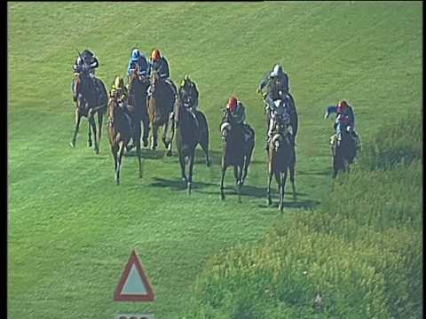 Galoppo 26/07/2017 - 7ª corsa