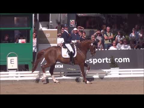 BOA VISTA & Greta Heemsoth / Finale 6j. Dressurpferde / BuCha 2022