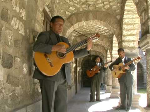 TRIO AYACUCHO / Huerfano pajarillo (wayno)