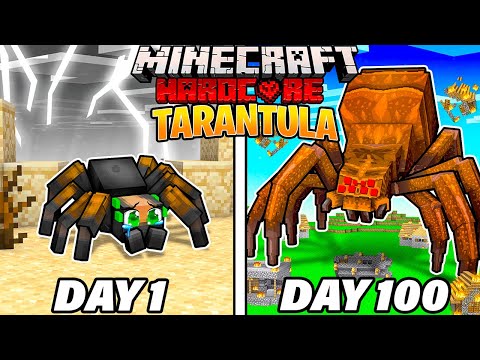 I Survived 100 Days as a TARANTULA in HARDCORE Minecraft!