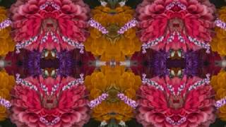 The Baron Of Brackley (by Bert Jansch, John Renbourn &amp; Jacqui McShee live in NYC 1992)