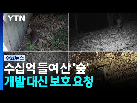 수십억 들인 '숲'...개발 대신 국가에 보호 요청 / YTN