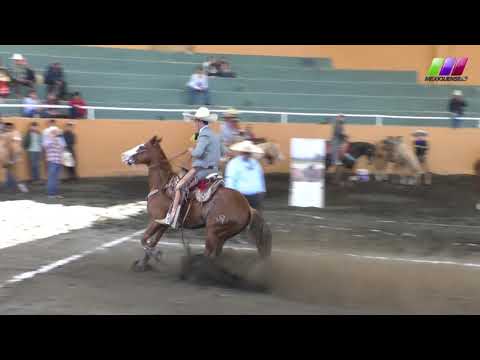 DLM278 080220 Bloque 2 - 9 XIV Caladero Amateur -AVC- Agustín Ramírez