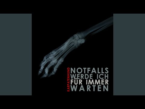 Notfalls Werde Ich Für Immer Warten (Rampue Remix)