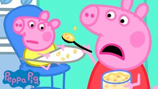 Peppa Pig Full Episodes | Baby Alexander | Cartoons for Children