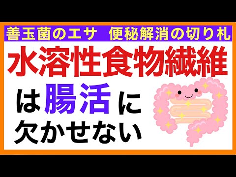 水溶性食物繊維と不溶性食物繊維 – 違いは何ですか