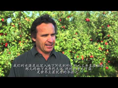 IBostock New Zealand - Customer Success Story