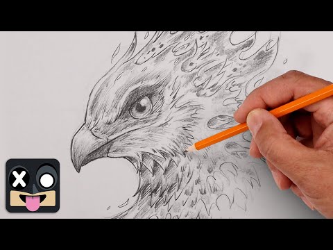 Learn To Draw a Phoenix | Step by Step Sketch Course