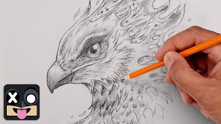 Learn To Draw a Phoenix | Step by Step Sketch Course