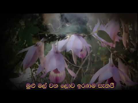 සුදු සඳ එළියේ - ඉන්ද්‍රාණි විජේබණ්ඩාර