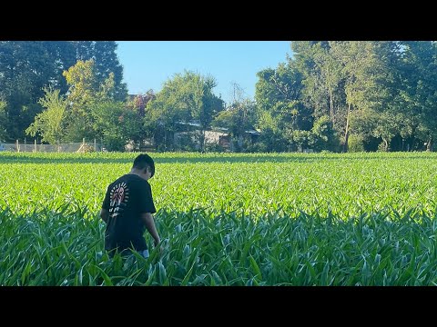 Conociendo Angol CMPC la Araucania 