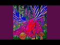 Dream Weaver