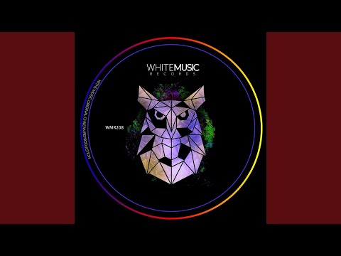 Flying To Another World (Original Mix)