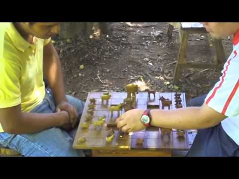 New Forest Arimaa Set - First Look