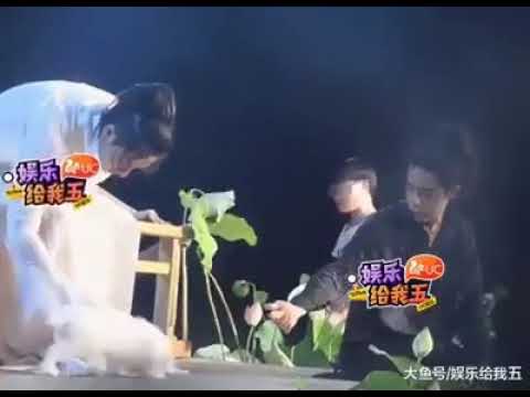 Wang Yibo & Xiao Zhan