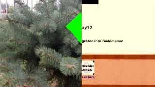 What is the point I ask for forgiveness some don't care I try my hardiest nothing but disrespect