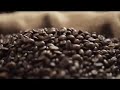 Body Care Ekstrak Kopi Dari Mustika Ratu