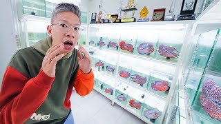 Download lagu THERE ARE 1000 FISH IN THIS BOARDING HOUSE!! mp3 Download lagu THERE ARE 1000 FISH IN THIS BOARDING HOUSE!! mp3