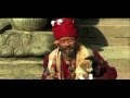 Honey Badger Narrates: Puppy Mills Are Evil - YouTube