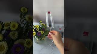 Набор бокалов для шампанского Rona Lord 340 мл, 6шт (7023 0 340)