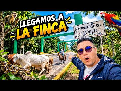 Un dia en la finca en Morelia, Caqueta vida de campo