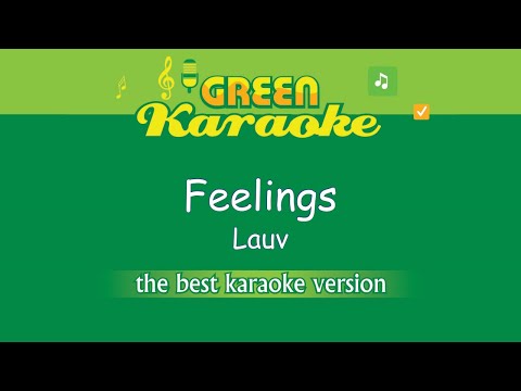 Lauv - Feelings (Karaoke)