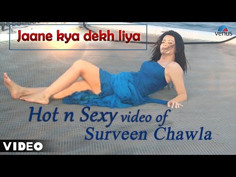 Jaane Kya Dekh Liya Hot & Sexy Full Video Song | Surveen Chawla, Vidup Agrahari |