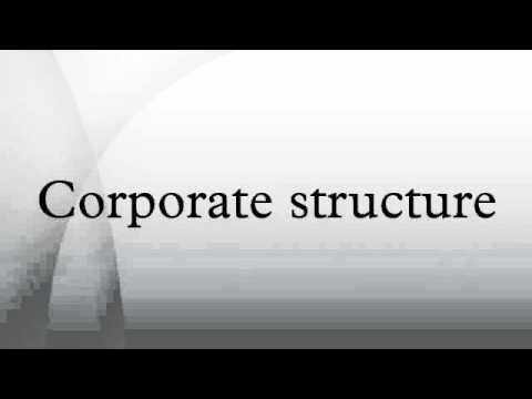 公司結構 (Corporate structure)