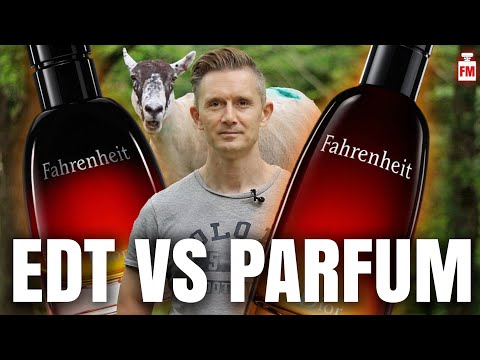 Dior Fahrenheit EDT vs Fahrenheit Le Parfum VLOG