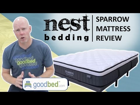 Nest Sparrow Signature Hybrid Review