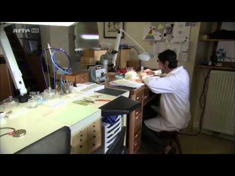 360° Geo Reportage Das Geheimnis der Schweizer Uhren