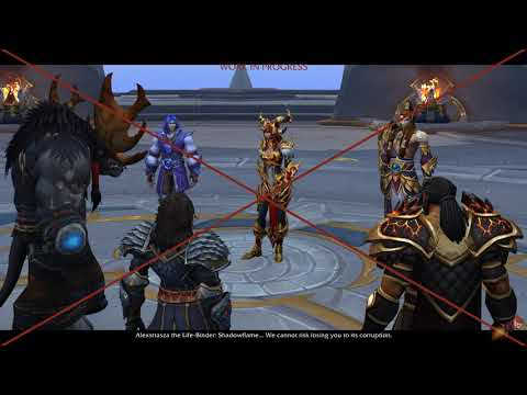 Alexstrasza Informed of Fyrakk - In Game Cutscene