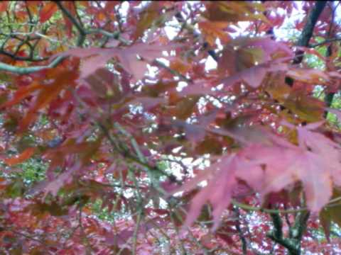 KARTINA DAHARI - Sejak Kita Berpisah