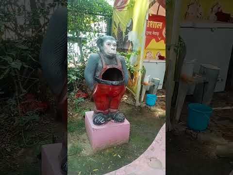 #music #travel #love #edm #beach #jacqueline #park