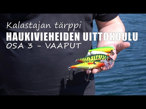 Haukivieheiden uittokoulu - vaaput