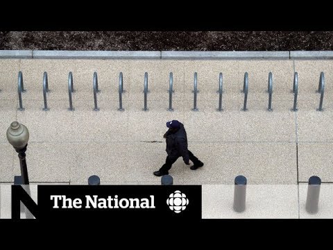 Protecting pedestrians: Urban planning for safer cities