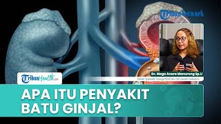 Penyakit Ginjal Kronis: Penurunan Fungsi Ginjal yang Terjadi Diam-Diam