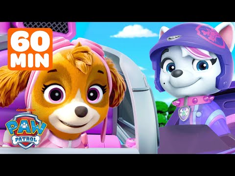 60 MINUTES of PAW Patrol Flying High in the Sky on Rescues & Missions! 🚁 w/ Skye | Shimmer and Shine