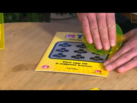 Triss: Emil hoppas på storkovan inför bröllopet - Nyhetsmorgon (TV4)