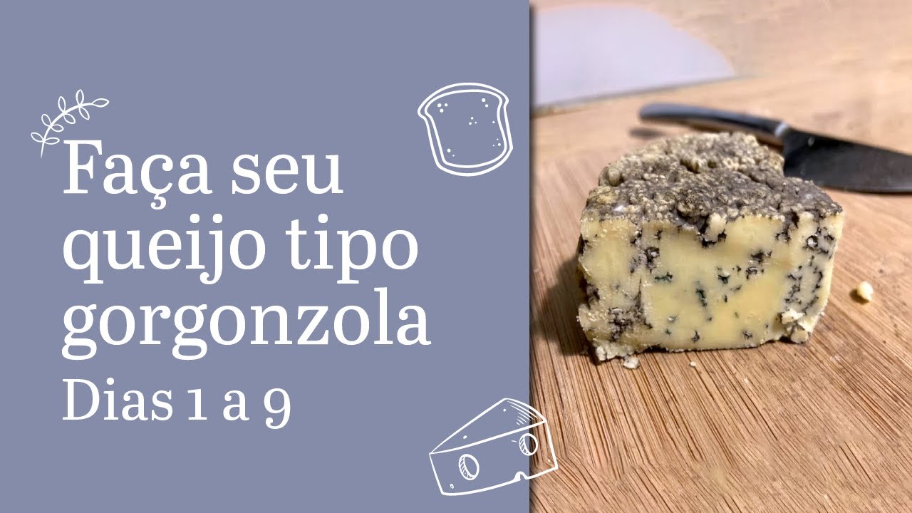 Como fazer queijo gorgonzola em casa (queijo azul, gorgonzola, roquefort) - queijo para iniciantes